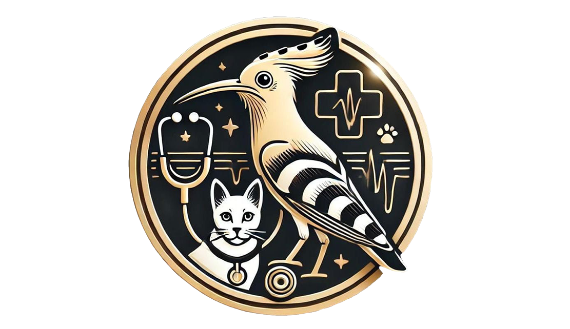 عيادة طائر الهدهد